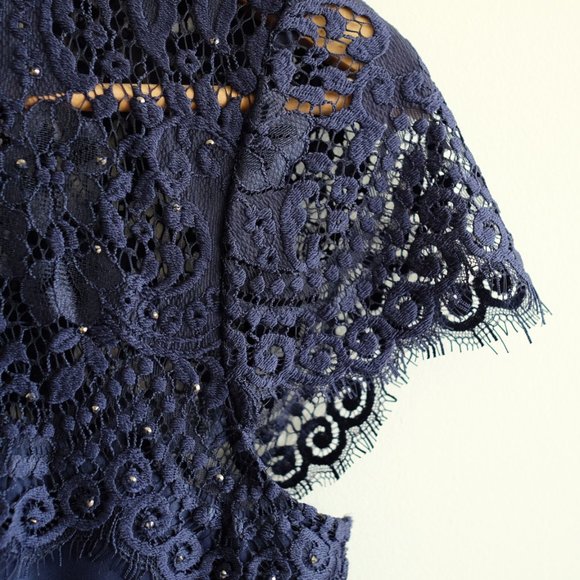 Ever New eyelash lace and crystal cocktail dress - Picture 8 of 13